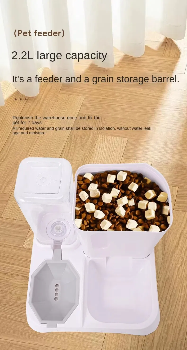 Pet Feeder Showcase