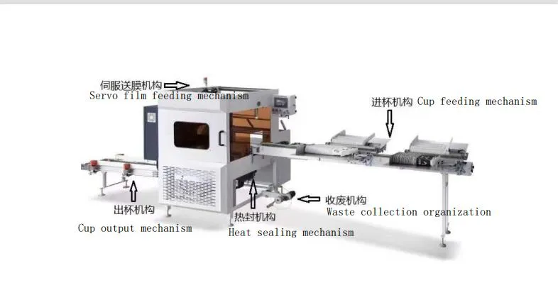 Advanced Automatic EPS Foam Cup and Bowl Packaging System