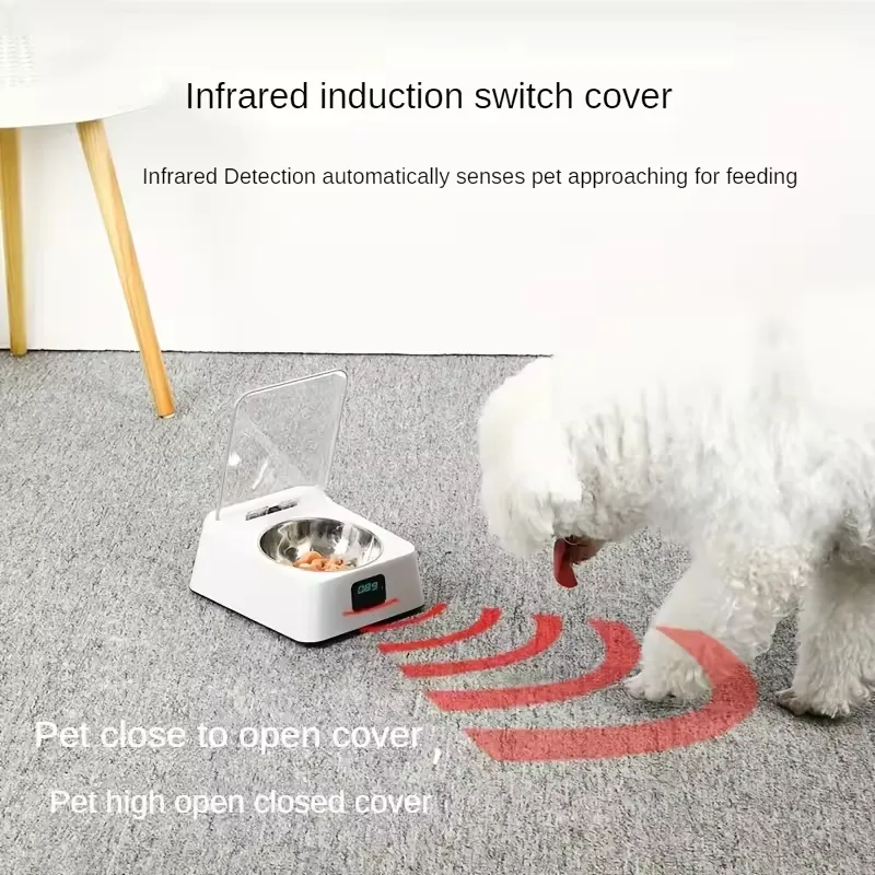 Pet Feeder View 9