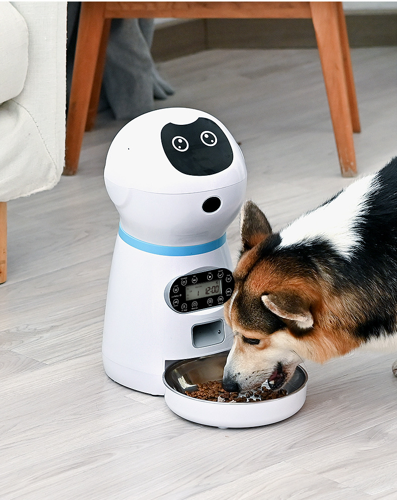 Pet Feeder 5