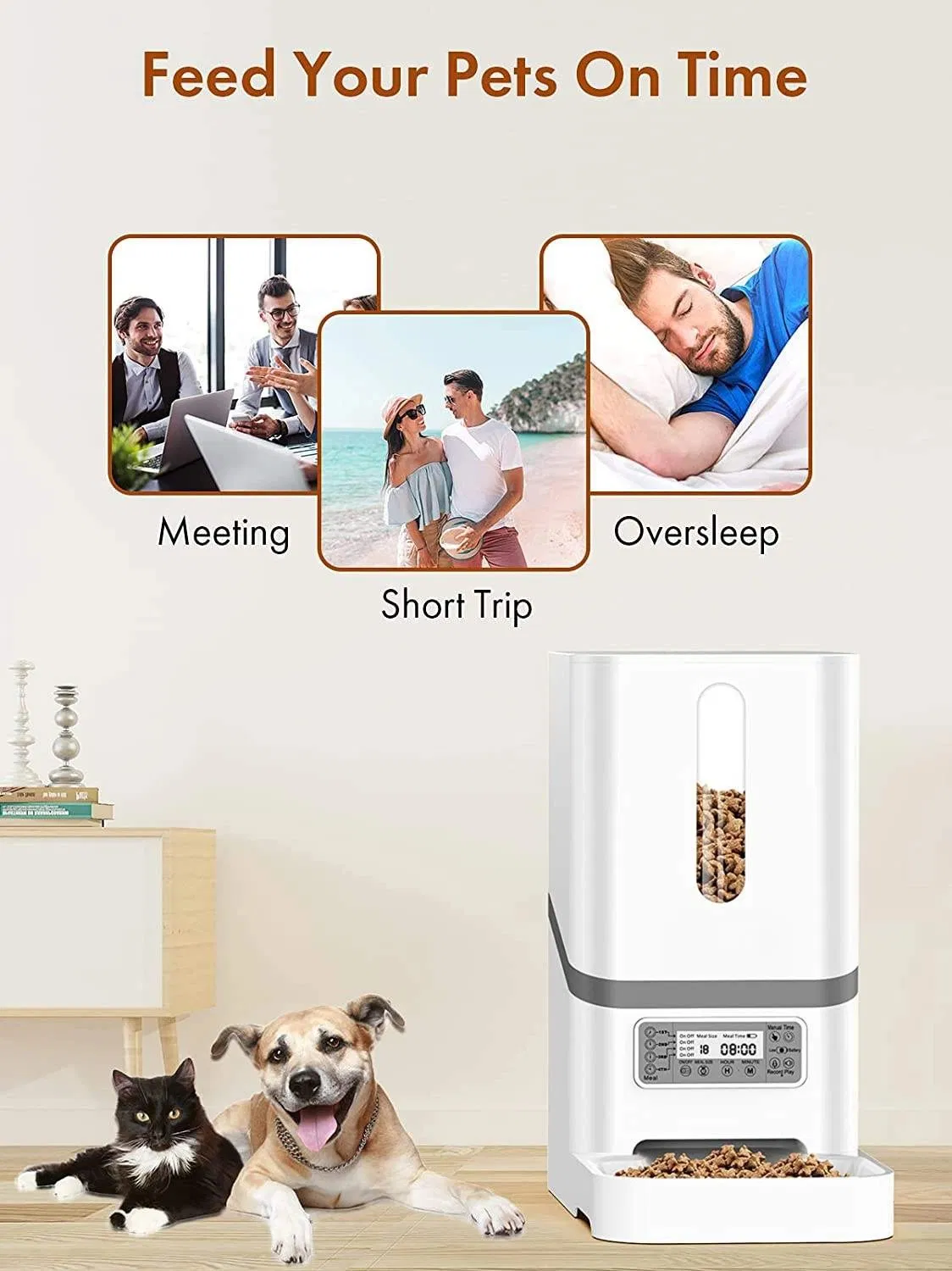 Feeder Details