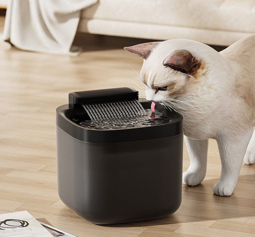 Pet Products Voice Recording Pet Smart Feeder for Dog Meal Time