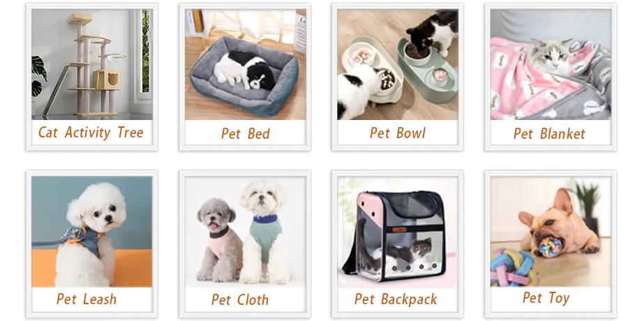 Dispenser Double Pet Feeder