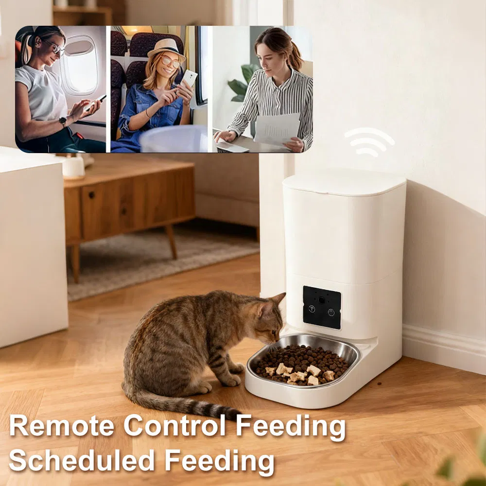 Feeder Detail 1