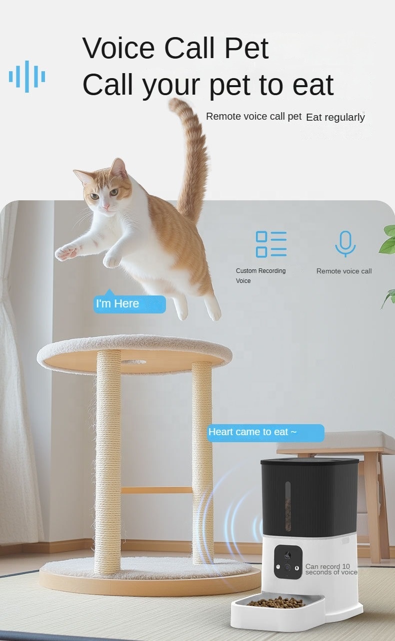 Specification Image 7