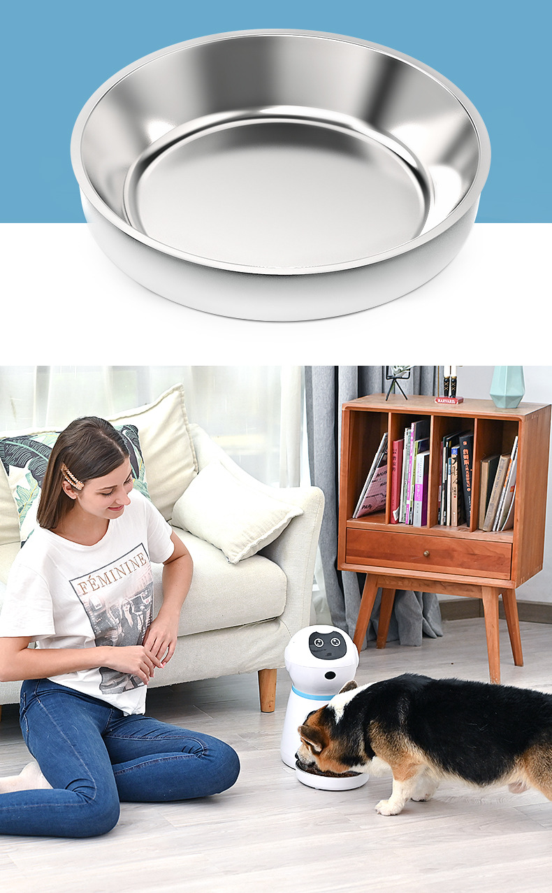 Pet Feeder 3