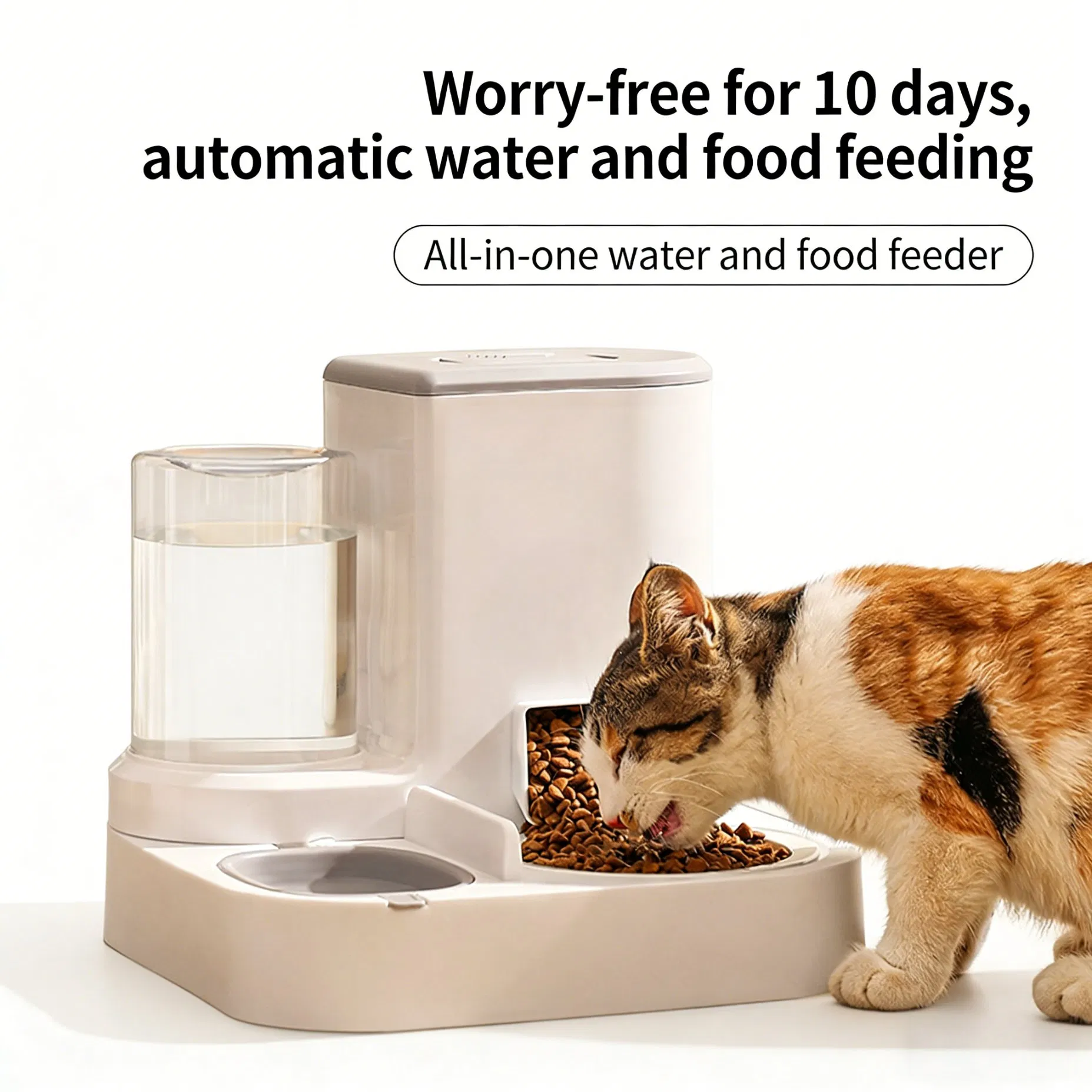 Large-Capacity Automatic Pet Feeder Separation of Wet and Dry Areas