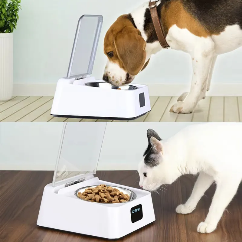 Pet Feeder View 3