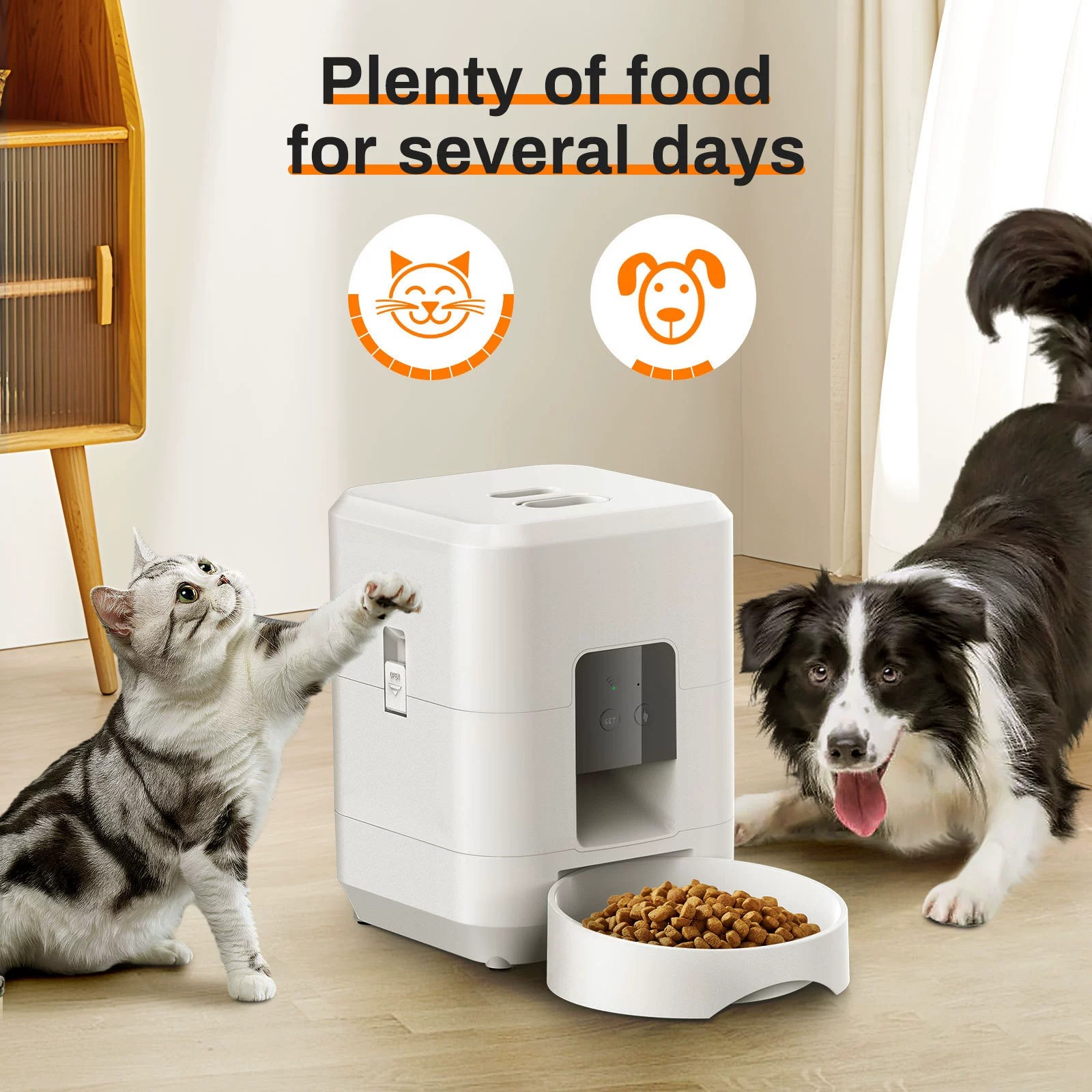 Modern Design Timed Pet Feeder for Cats and Dogs with Dry Food Dispense &amp; 4 Daily Meals