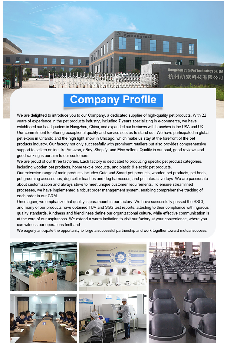 Our Company Office