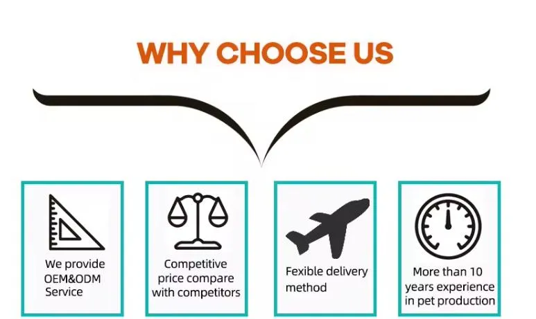 Our Advantages Overview