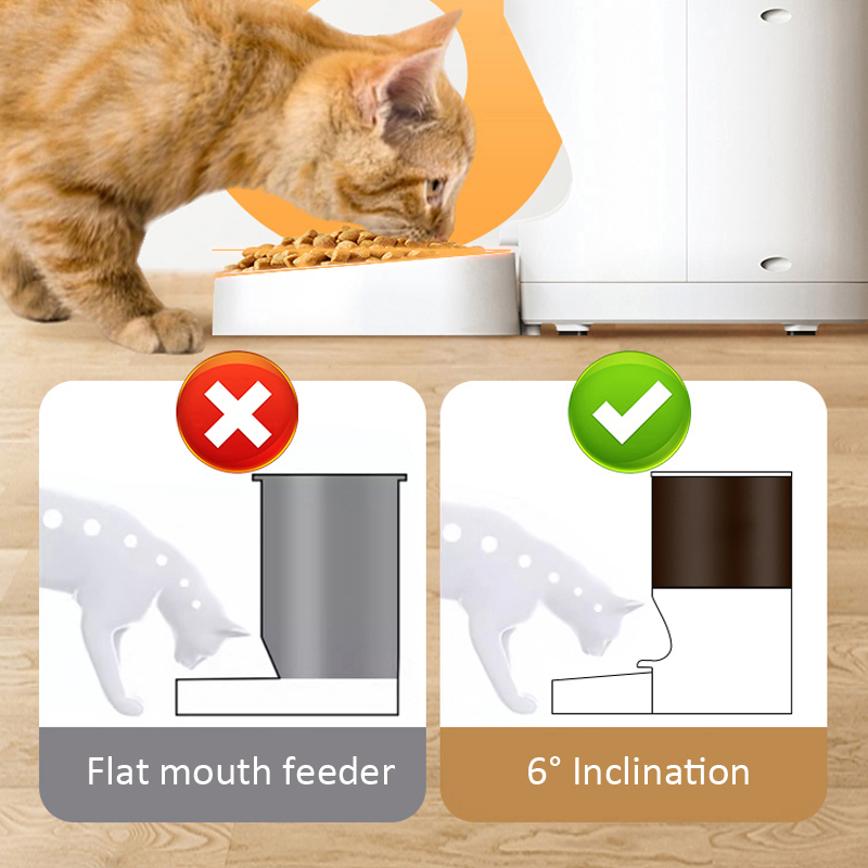 Smart Pet Supplies Timed Dog and Cat Feeding Stainless Steel Bowl 6L Grain Bin Automatic Cat Feeder