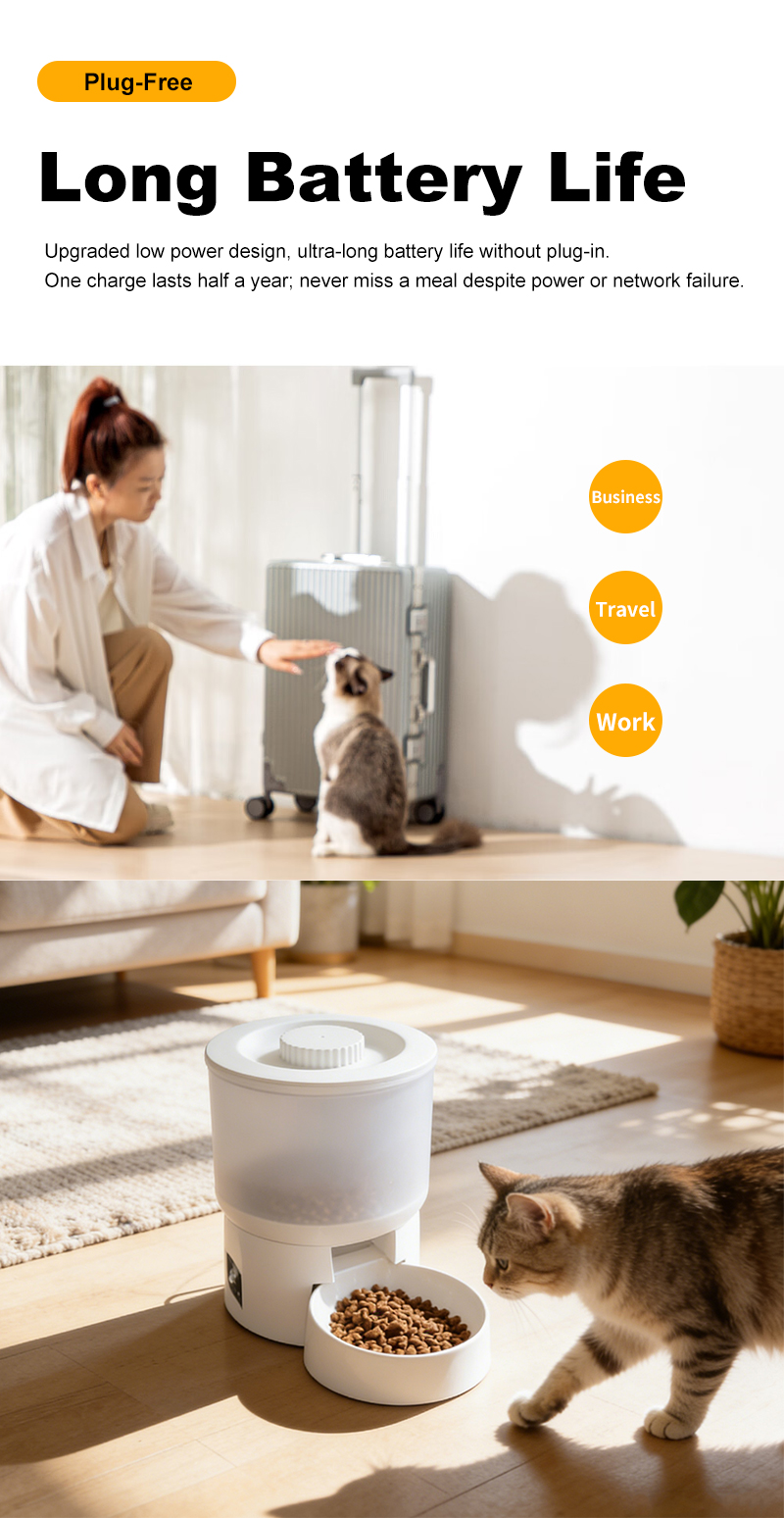 Smart Automatic Pet Feeder with Digital Timer Best Automatic Pet Feeder for Dogs Cats Timed Programmable Machine