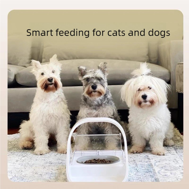 Smart Chip Recognition Sensor Cat and Dog Feeder Specialised Rubber Bowl for Pets