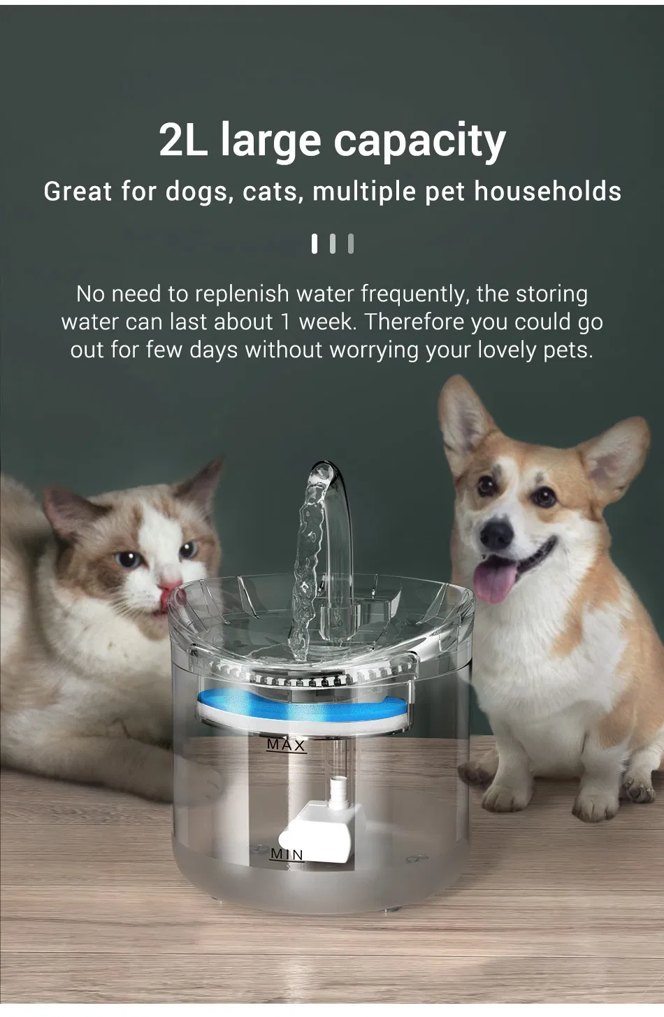 Pet Water Dispenser Detail 1