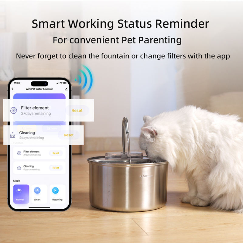 OEM 4L Cat Water Dispenser Visible Window Tuya WiFi APP Dog Water Fountain Automatic Pet Drinking Water Fountain Stainless Steel