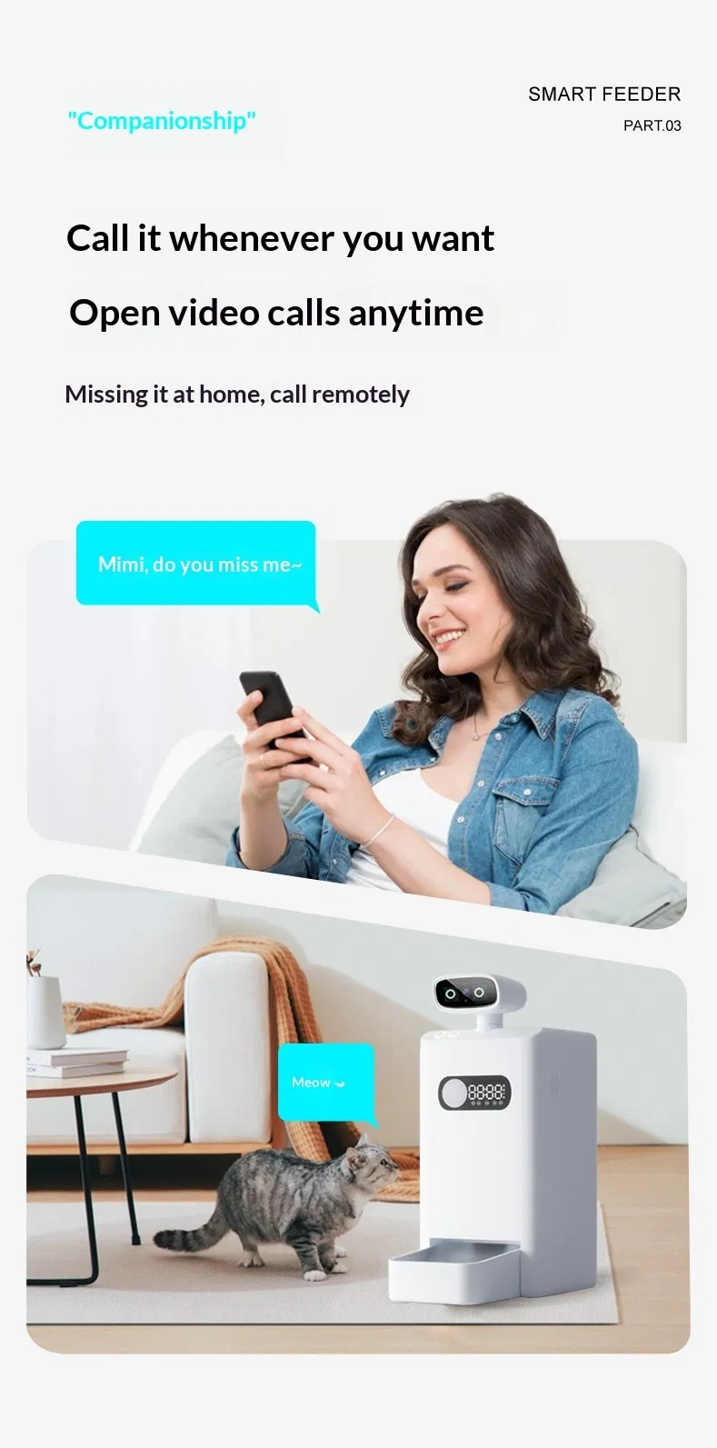 Pet Video Feeder Usability 1