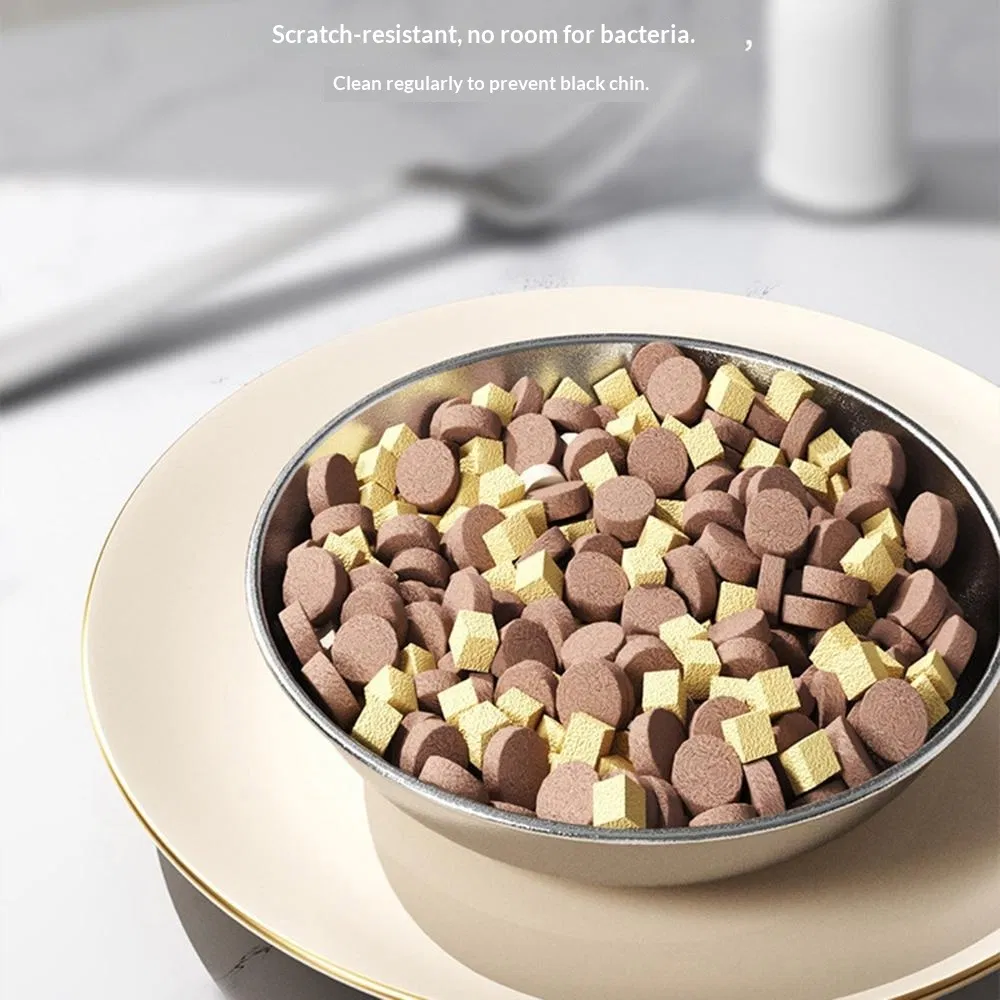 Smart Pet Feeder View 6