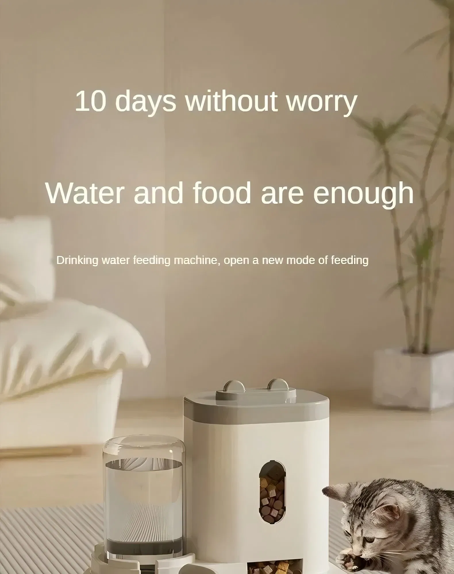 Pet Feeder View 2