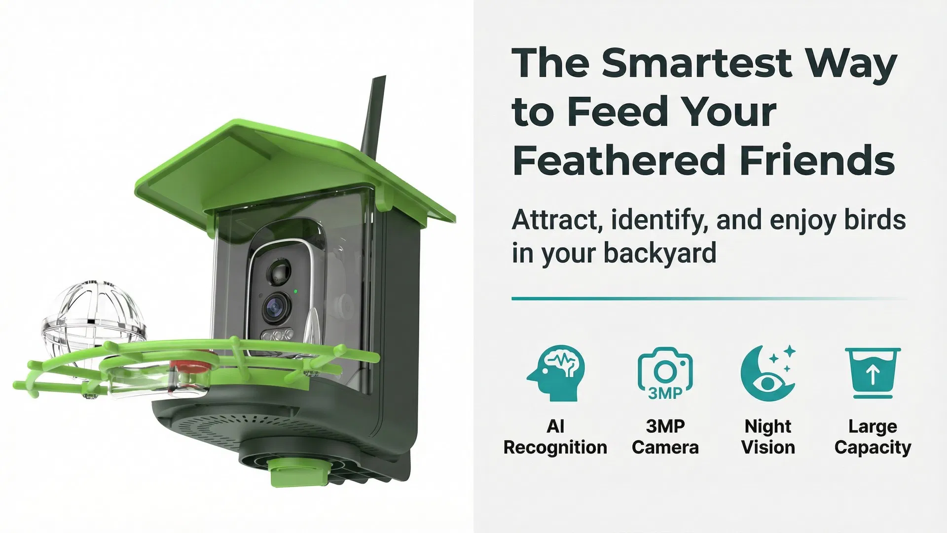 Smart Bird Feeder Detail 1