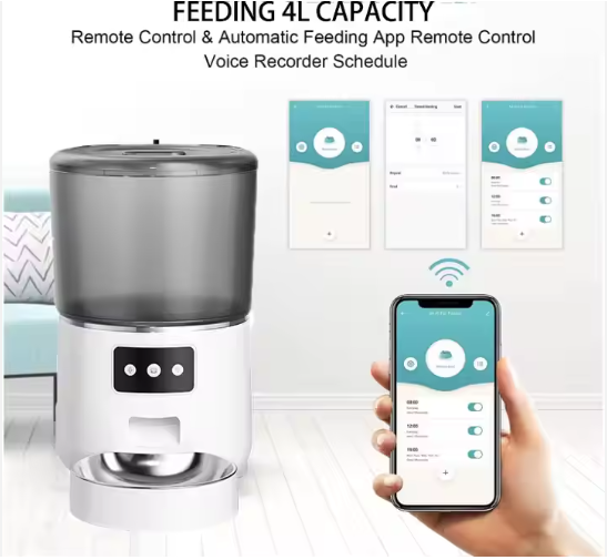 Product Showcase 6