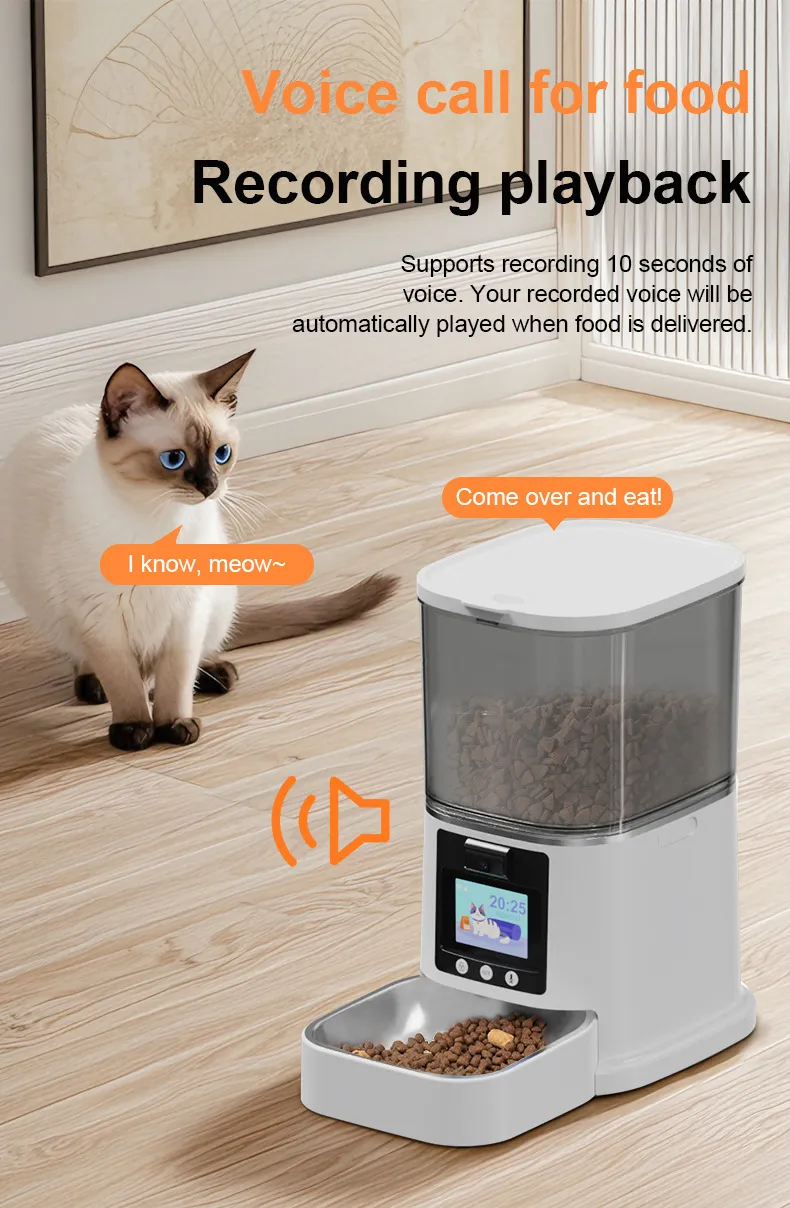 Pet Smart Feeder View 8