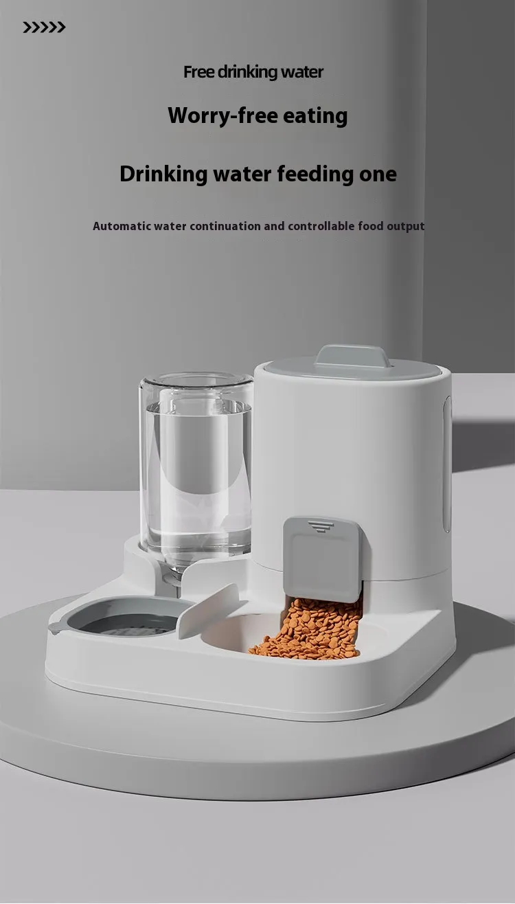 Pet Feeder 1