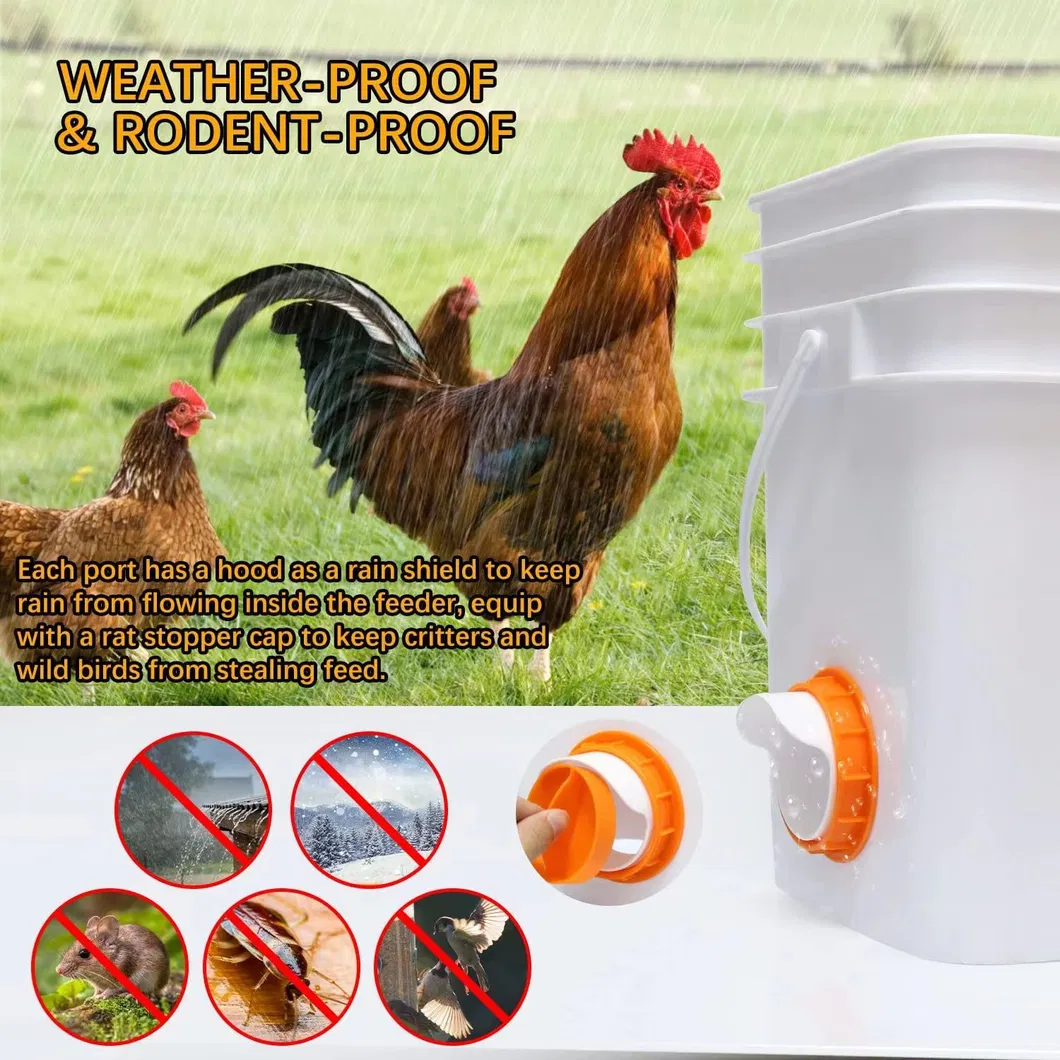Chicken Feeder Setup
