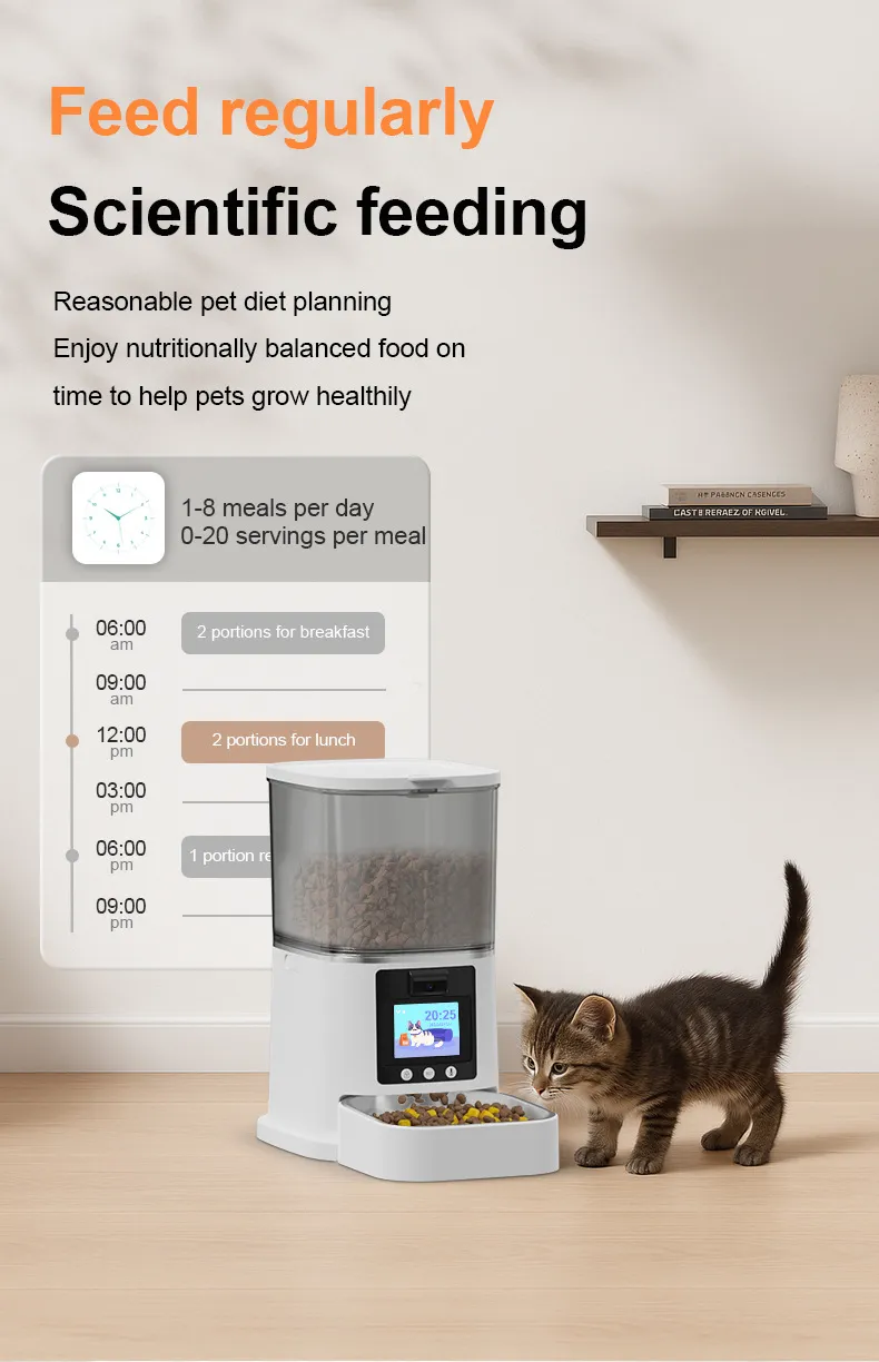 Pet Smart Feeder View 6
