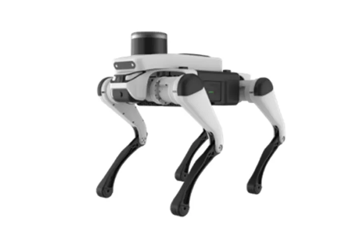 YZX-Y3 Quadruped Robot Professional Version
