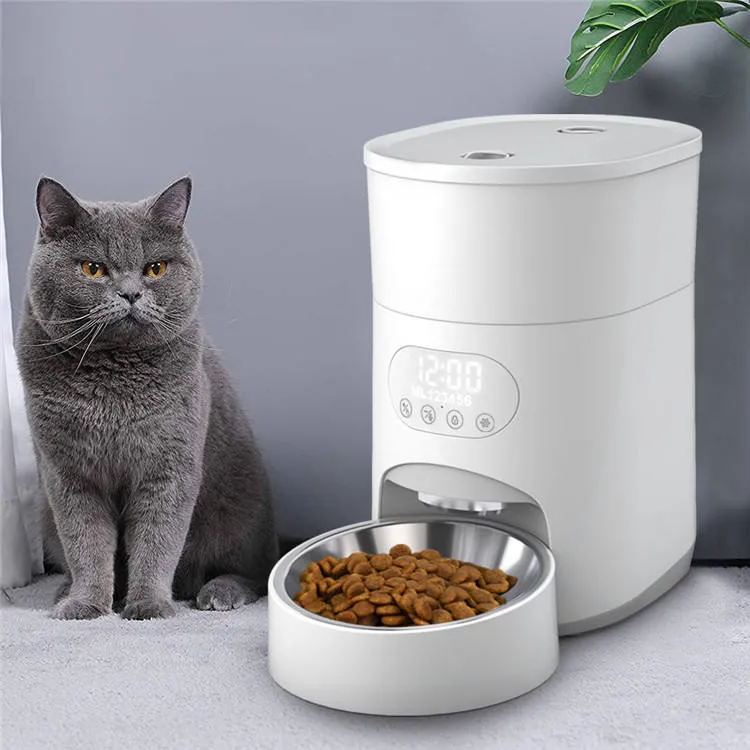 Feeding Bowl