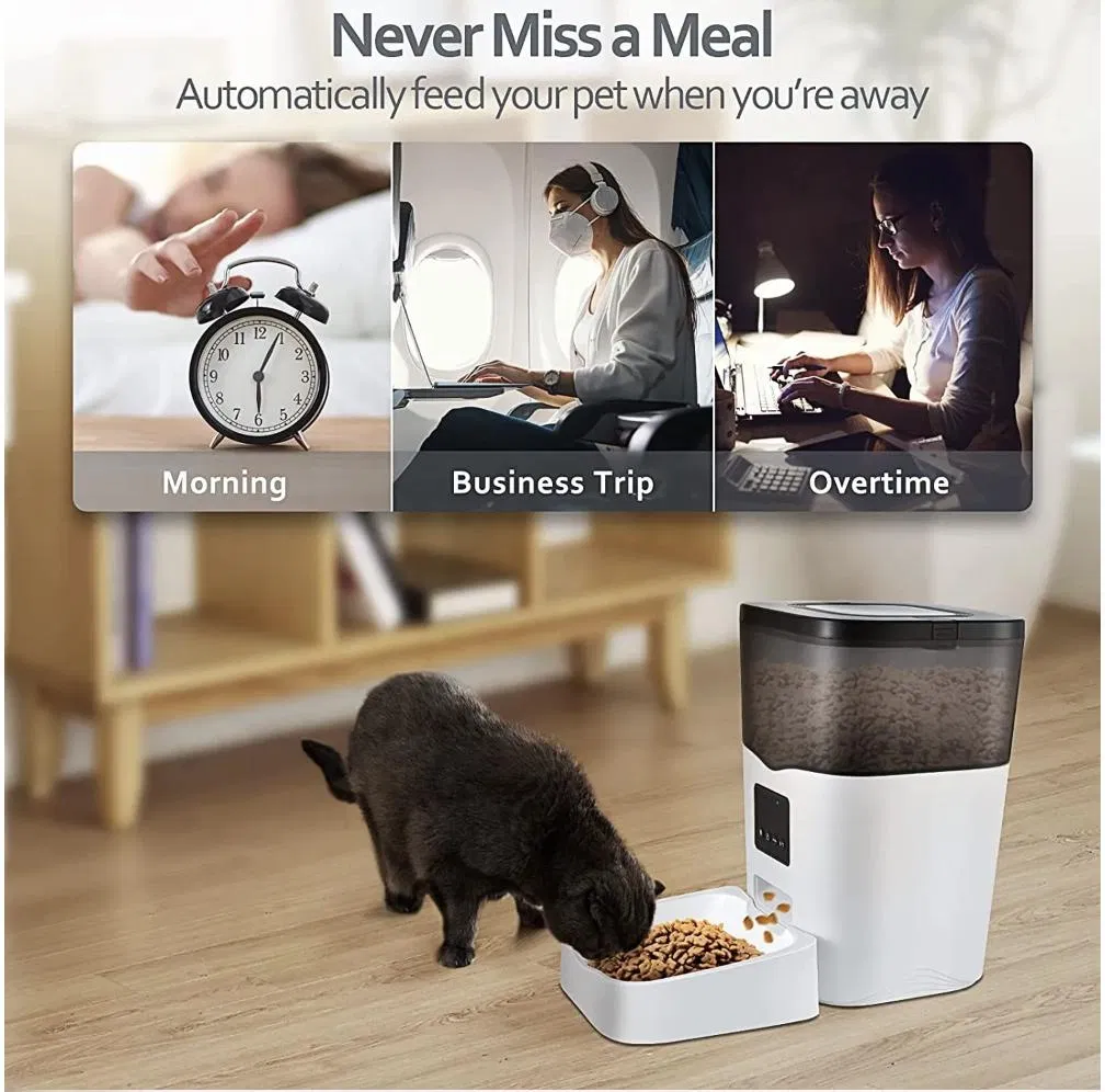 Smart Pet Feeder Display 2