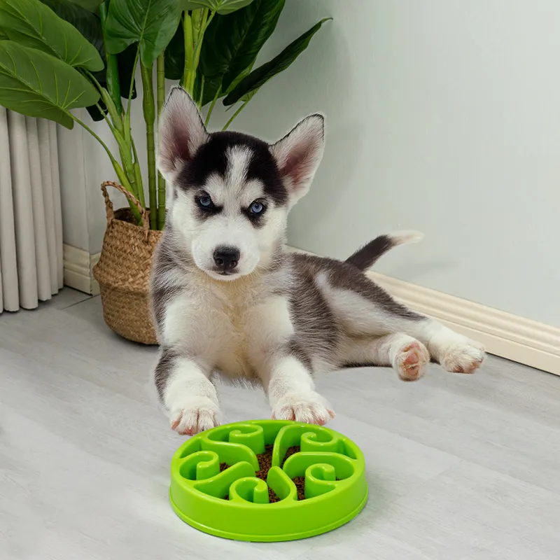 Spill Proof Dog Bowl