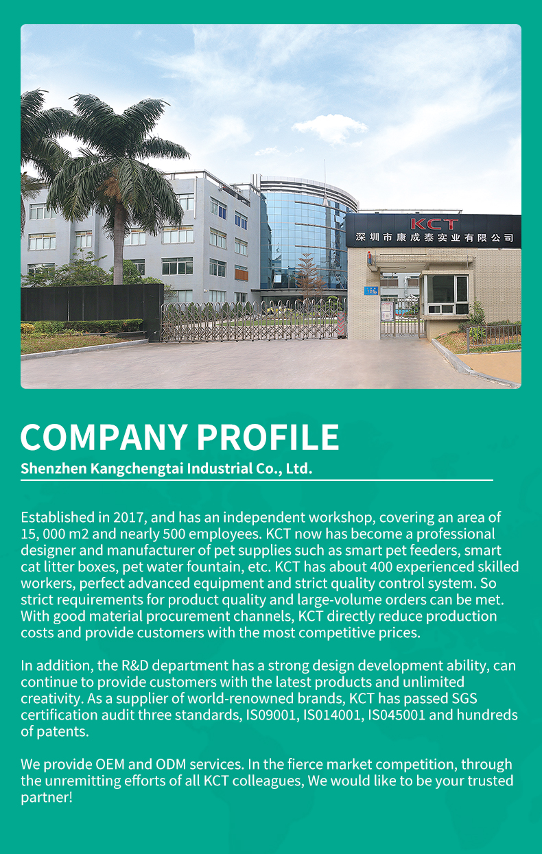 Company Showcase Office