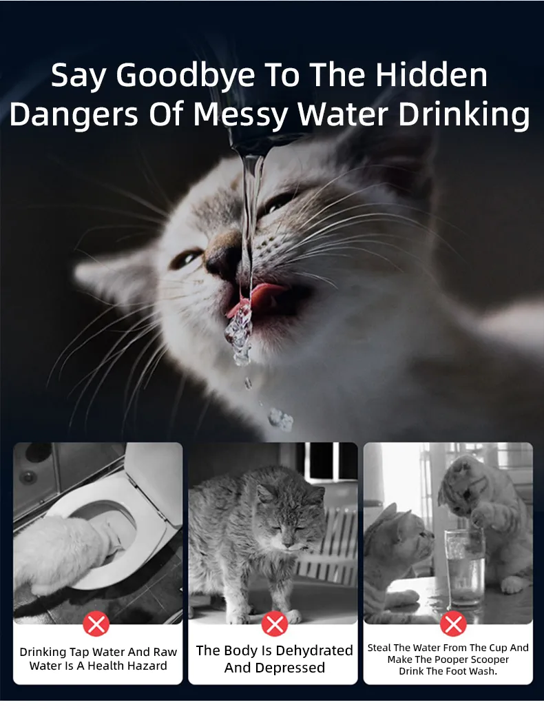 Pet Water Fountain