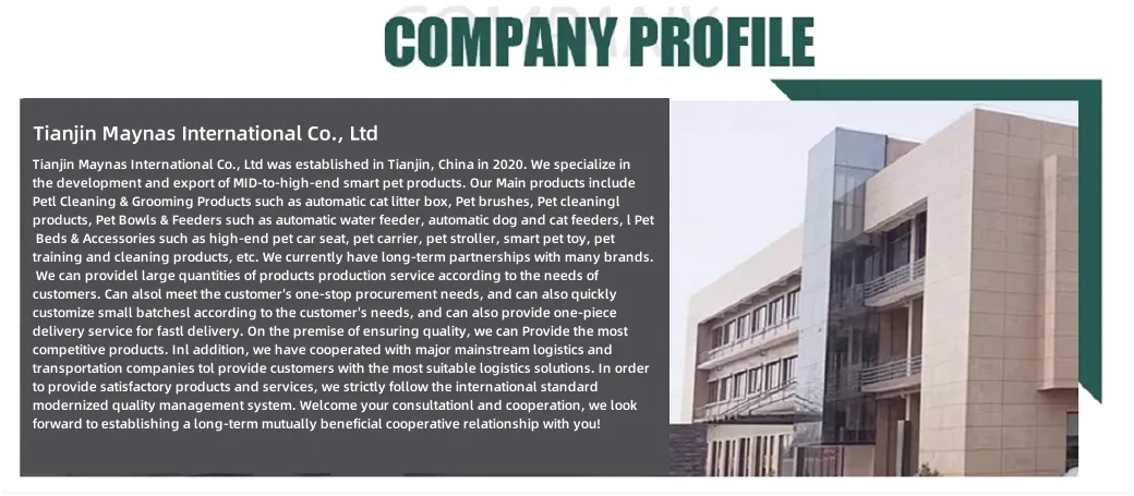 Company Profile Details
