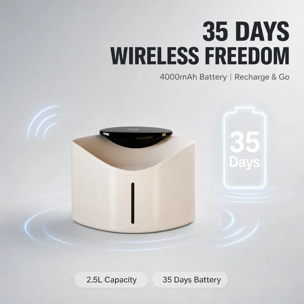 Product View 5