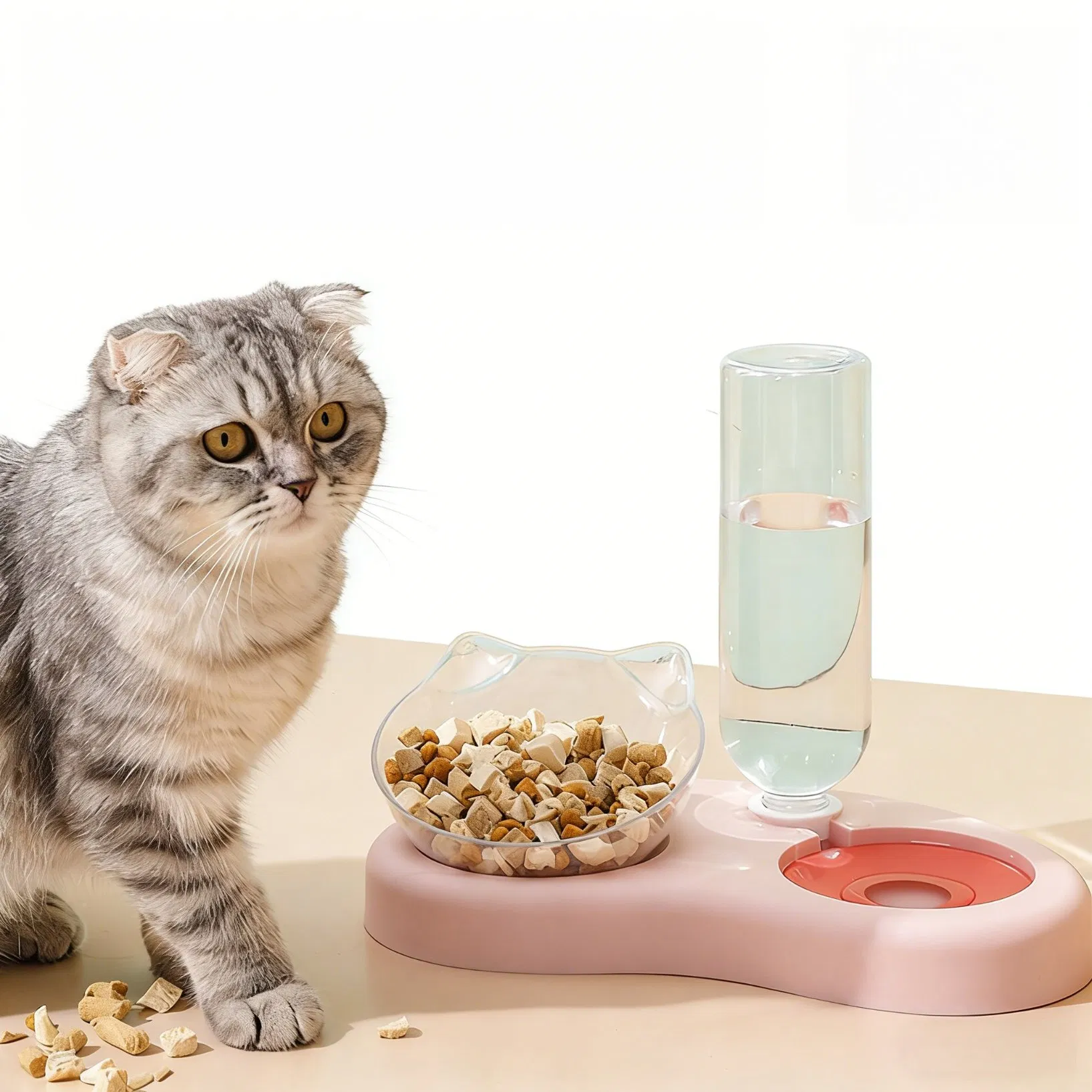 Mini Cat Feeding and Watering Bowl Combined Feeding and Watering OEM/ODM