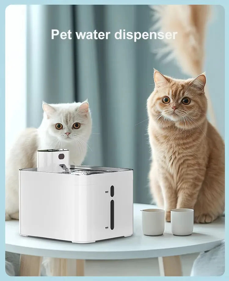 Cat Water Fountain Filter System