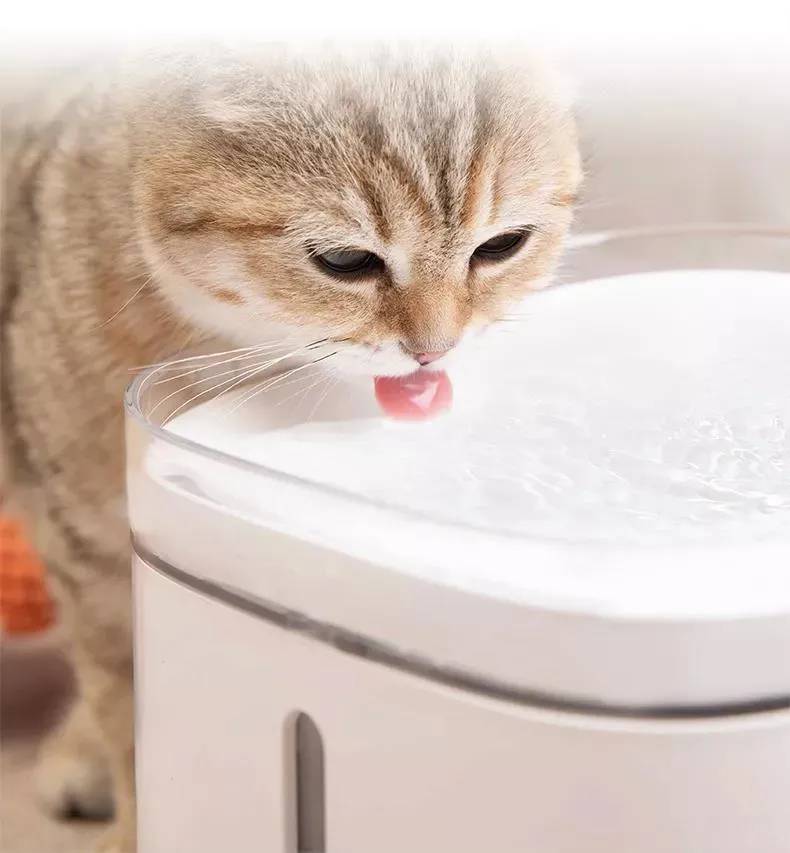 2.8L Automatic Pet Water Dispenser Dog Cat Water Fountain with LED Lighting