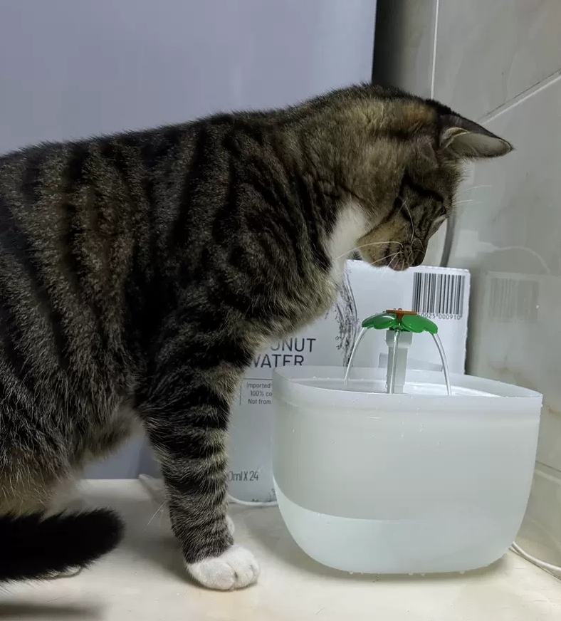 Made-in China Price Pet Supplies Automatic Water Fountain for Cats and Dogs
