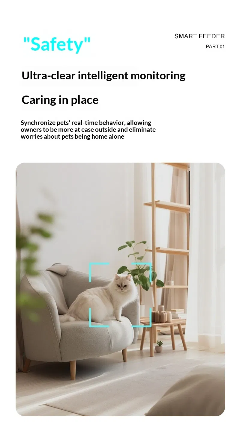 Pet Video Feeder Angle 2