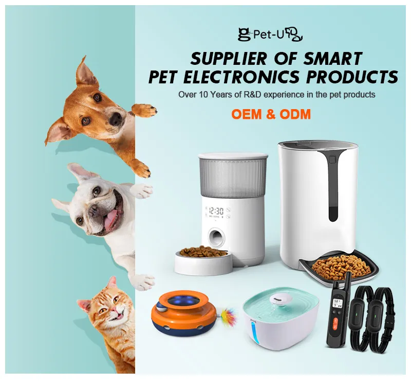 Automatic Cat Feeder Main View