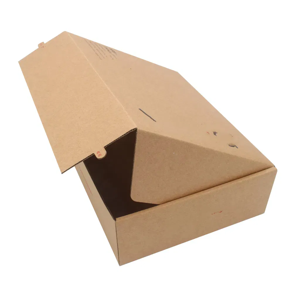 Embalagem de Papelão Corrugado com Impressão Personalizada de Logotipo para Envio Postal