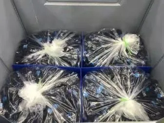 Caixas de papelão e plástico dobráveis reutilizáveis e ecológicas