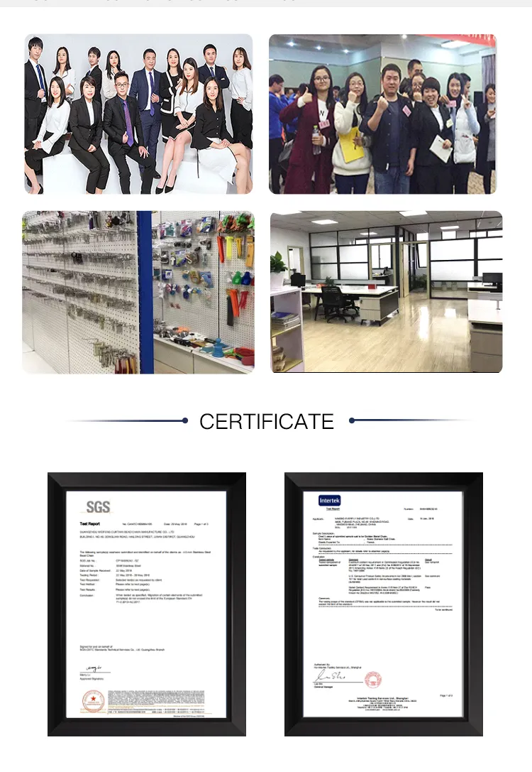 Embalagem de tubo de papel PVC personalizada de alta qualidade para exibição de presente de rosa única, caixa de papelão com flor fresca e elegante