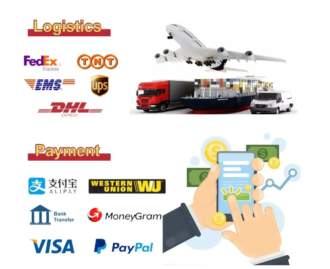 Infográfico de logística, transporte e formas de pagamento