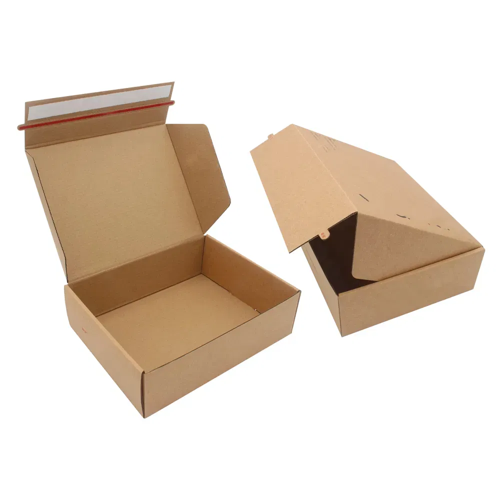 Embalagem de Papelão Corrugado com Impressão Personalizada de Logotipo para Envio Postal