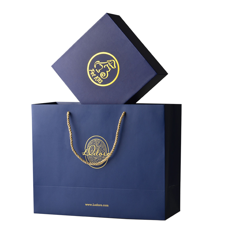 Embalagem de Roupas de Luxo Personalizada para Compras, Sacola de Papel para Presentes com Seu Próprio Logo