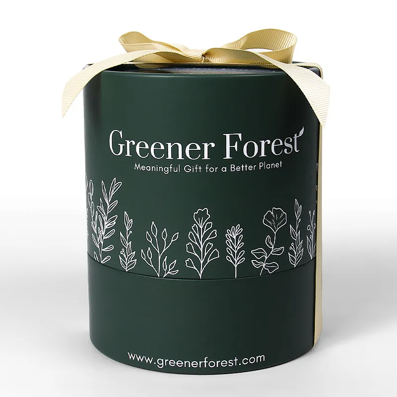 Caixa de presente em papel reciclável e ecológico, tubo cilíndrico de papelão para flores, presente de aniversário, Dia dos Namorados